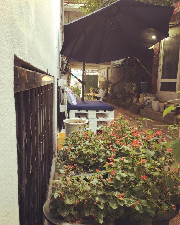 Jardí fora de MK GuestHouse