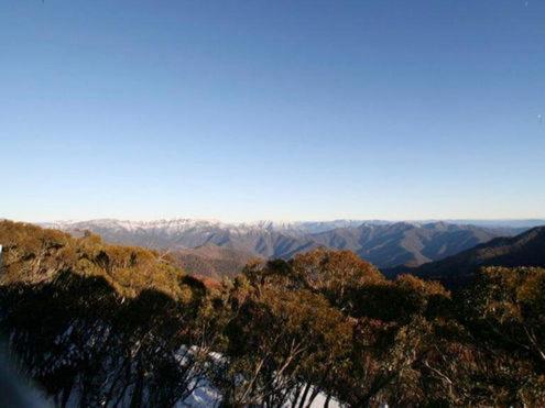a view of a mountain with trees and mountains at Elkhorn 7 in Mount Buller