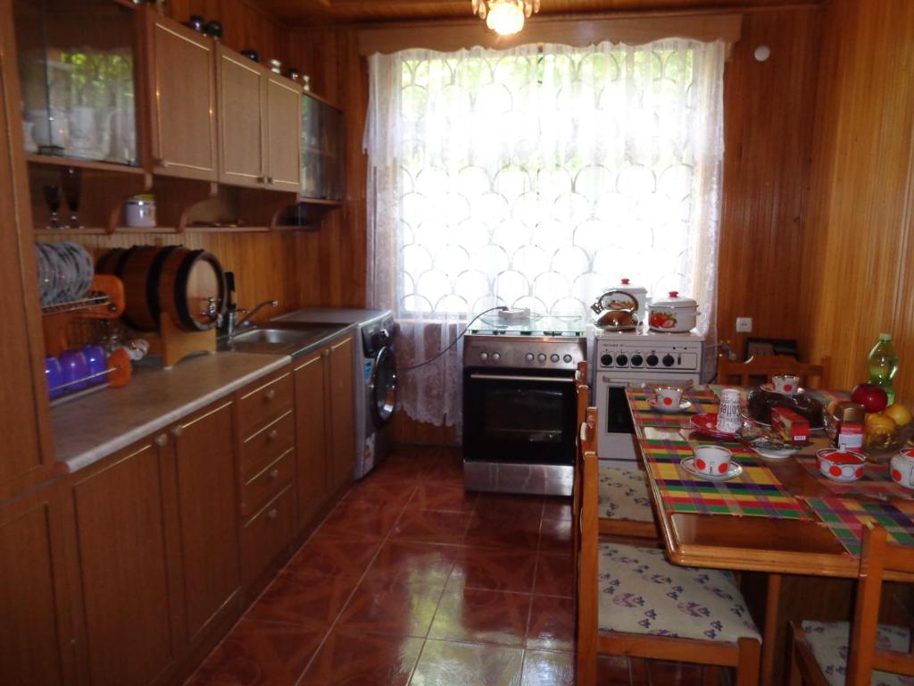 Kuchyň nebo kuchyňský kout v ubytování Guest House Levan II Dadiani