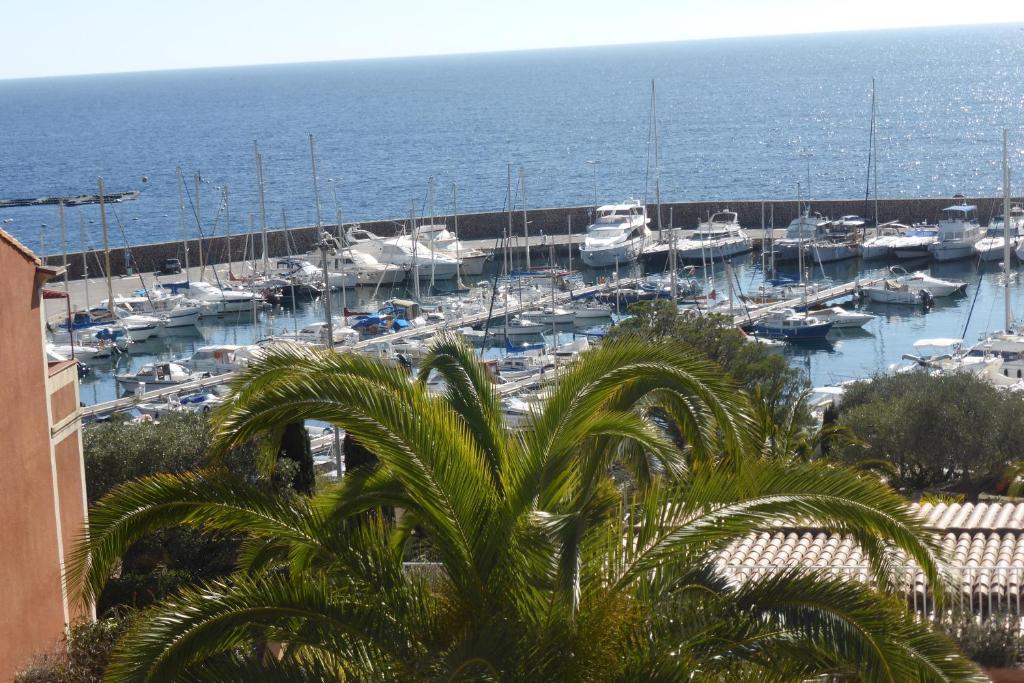 a view of a marina with boats in the water at Plage de Miramar in Théoule-sur-Mer