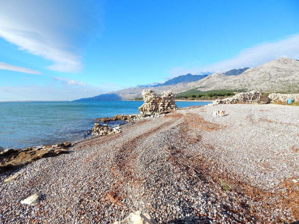 Fotografia z galérie ubytovania Matilda v destinácii Starigrad-Paklenica