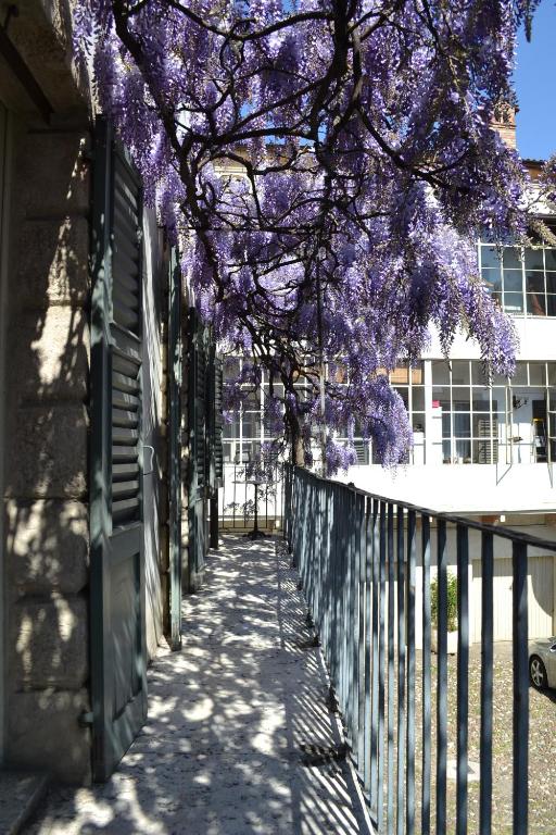 Palazzo Fracastoro - 6