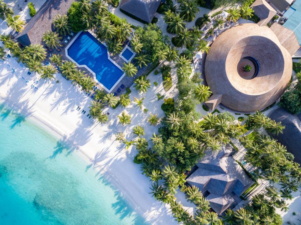 an overhead view of a pool at a resort with palm trees at Meeru Maldives Resort Island in Dhiffushi