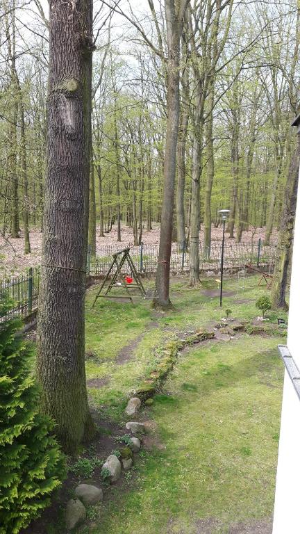 Hotel Daria Dworek Mysliwski - Resim 24