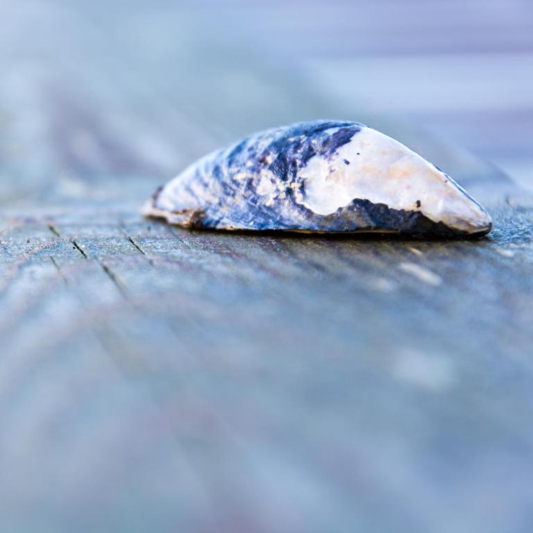 Fotografie z fotogalerie ubytování Seläter Camping v destinaci Strömstad