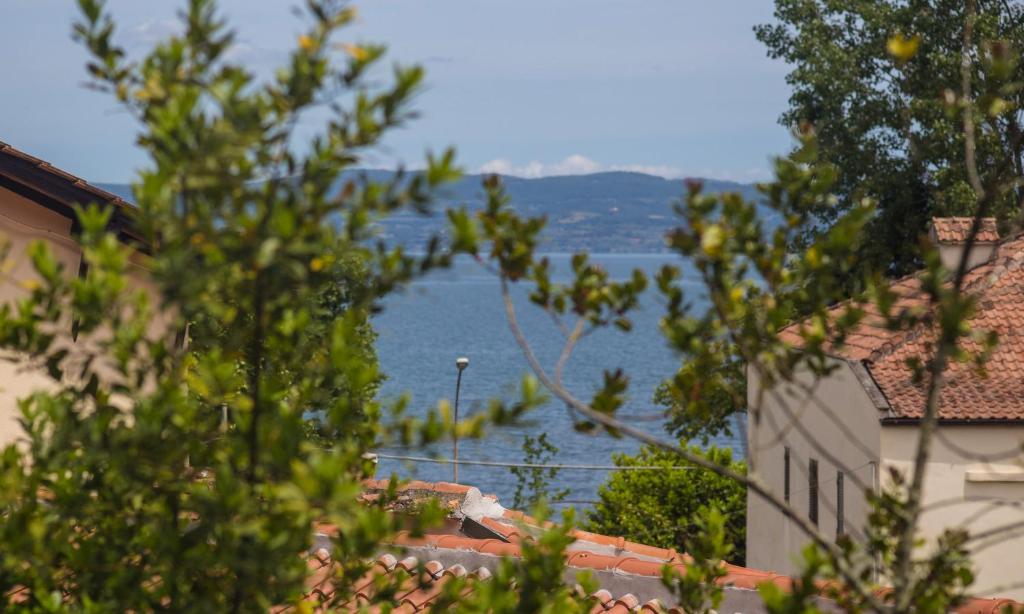 Příroda nedaleko hostelu
