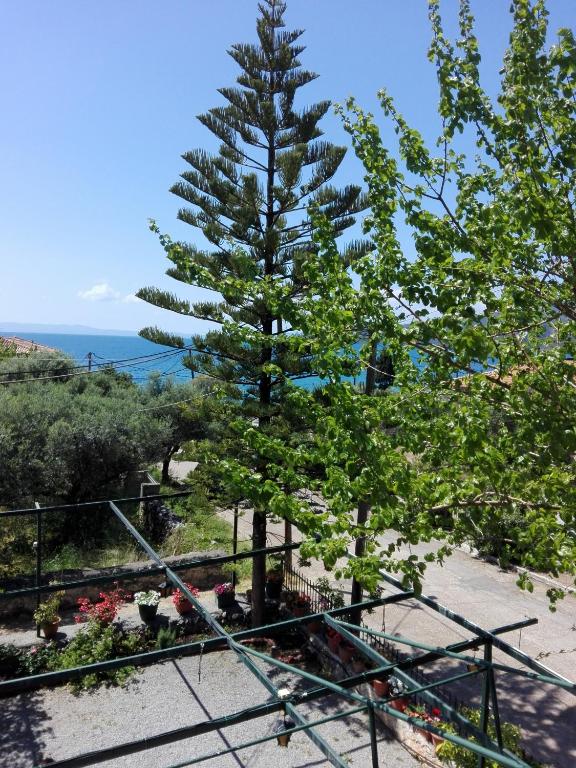 Príroda v okolí apartmánu