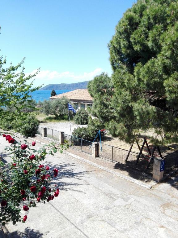 Príroda v okolí apartmánu
