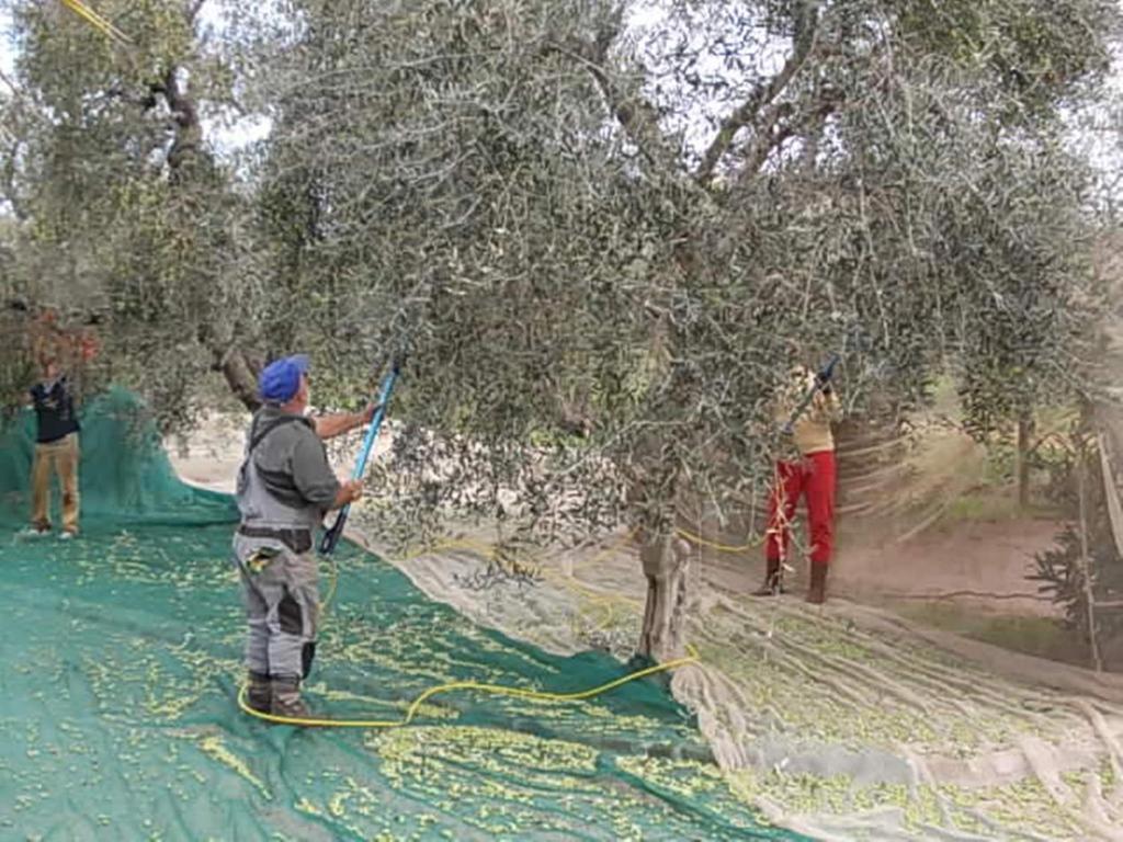 Hostia v ubytovaní Agriturismo Vigna Mai