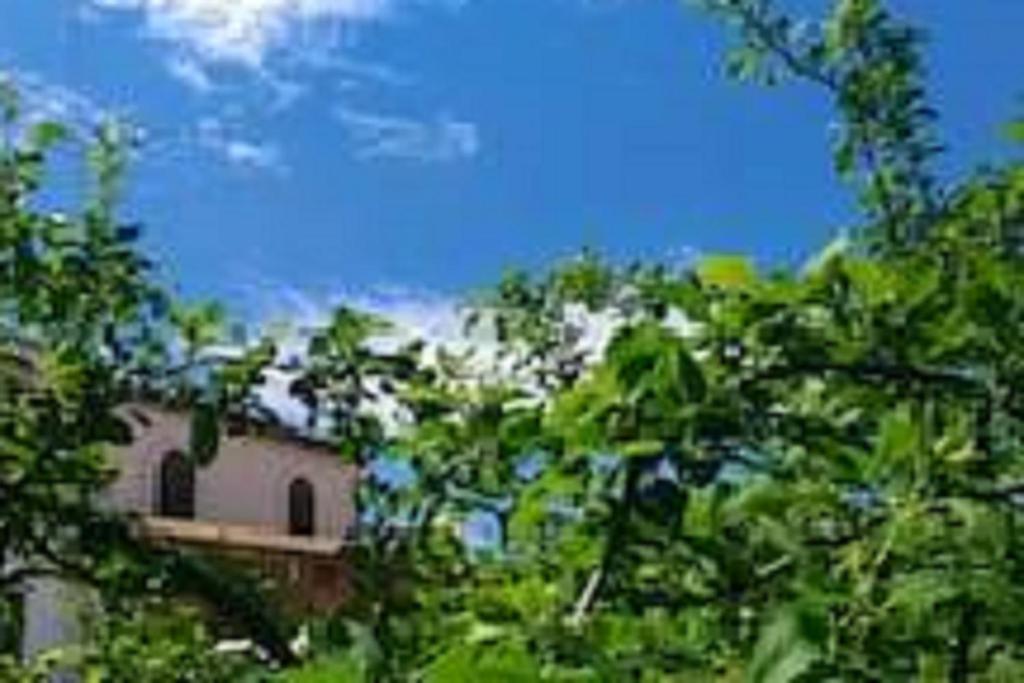 een uitzicht op een huis achter enkele bomen bij Il Gelsomino Home Holiday in Alcamo