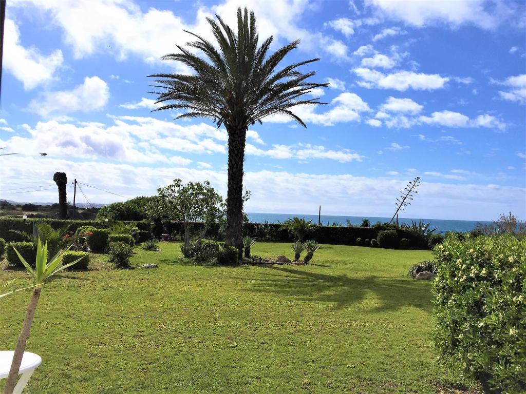 a palm tree in a field with the ocean in the background at Clube Nautilus Apartment in Porches