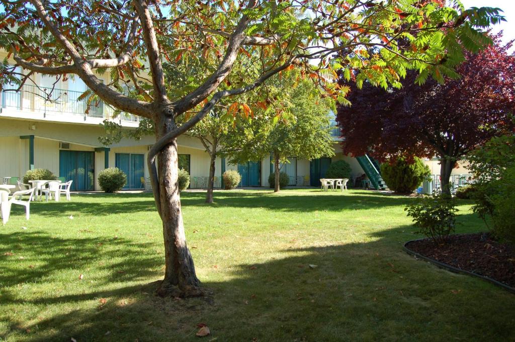 Zahrada ubytování Summerland Motel