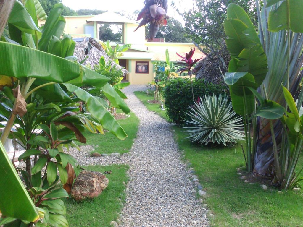 a garden with a gravel path in front of a house at Yasipark - Nature Park und Ecolodge in Yásica Arriba