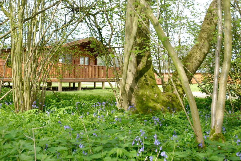 un jardin avec une maison, des arbres et des fleurs dans l'établissement South Winchester Lodges, à Winchester