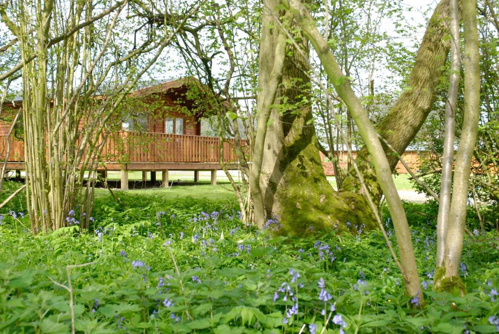 un giardino con una casa e alberi e fiori di South Winchester Lodges a Winchester