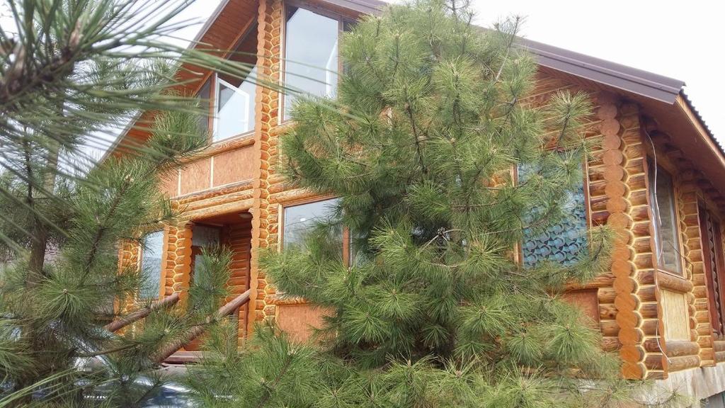 a house with a tree on the side of it at Villa Mango in Vylkove