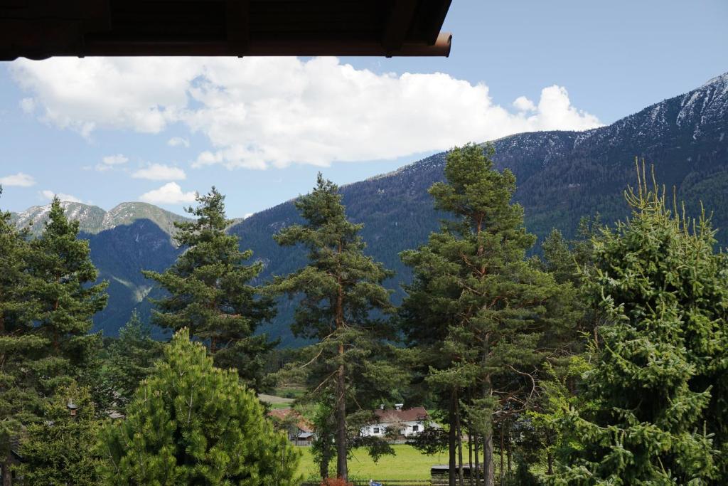 Příroda nedaleko apartmánu
