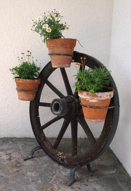 Zahrada ubytování Haus Walser