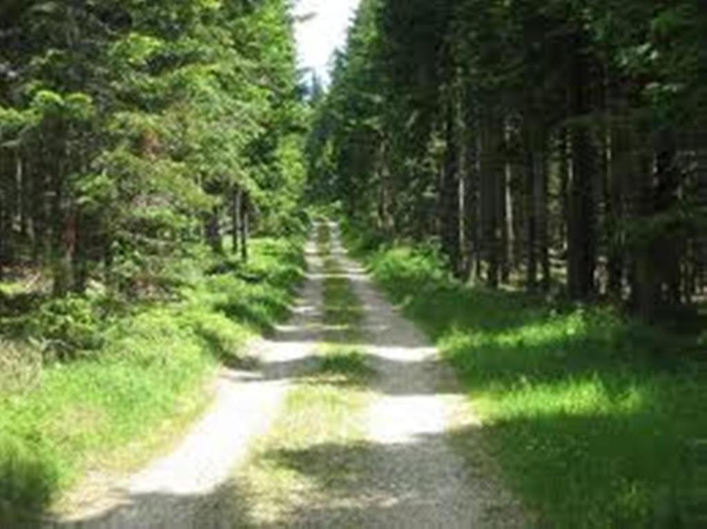Příroda nedaleko bed and breakfast