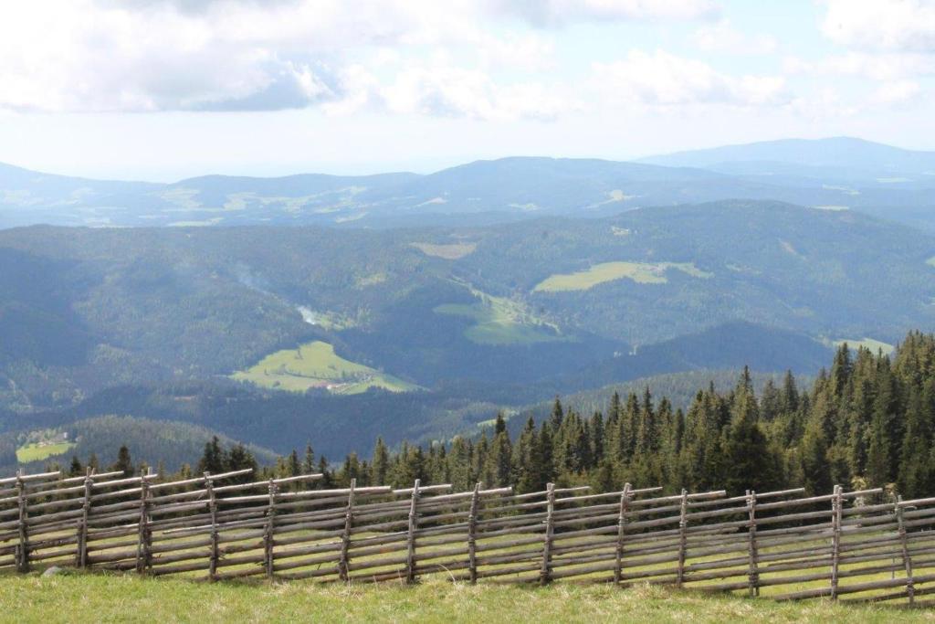 Příroda nedaleko bed and breakfast