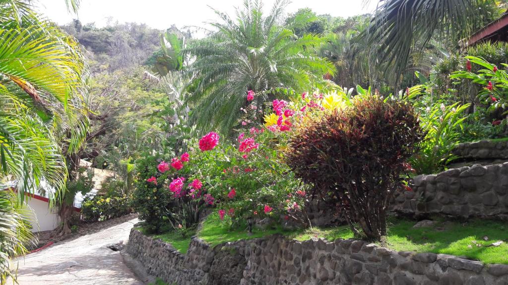 Zahrada ubytování Hotel El Jardin