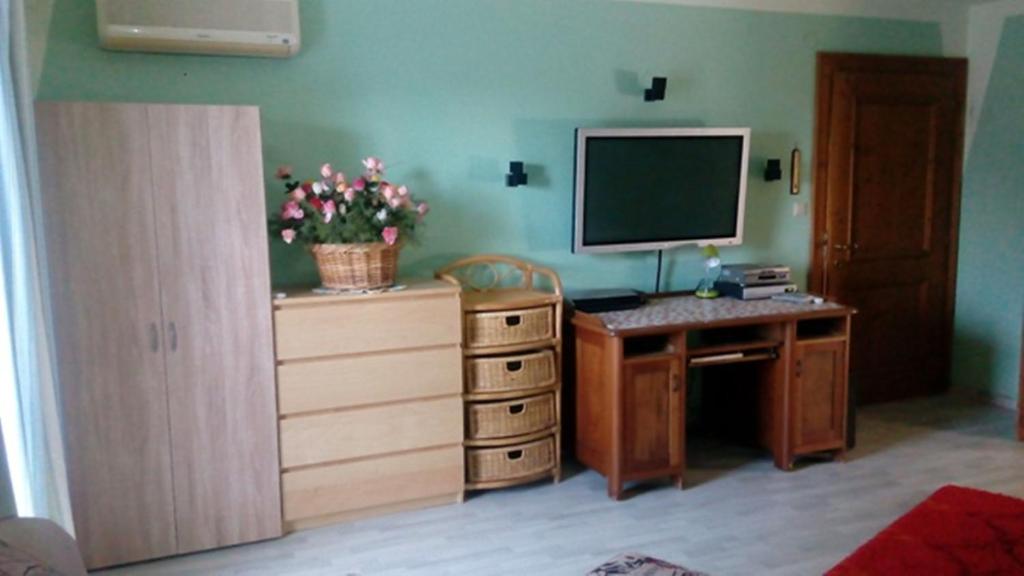 TV a/nebo společenská místnost v ubytování Gästehaus Fridolin
