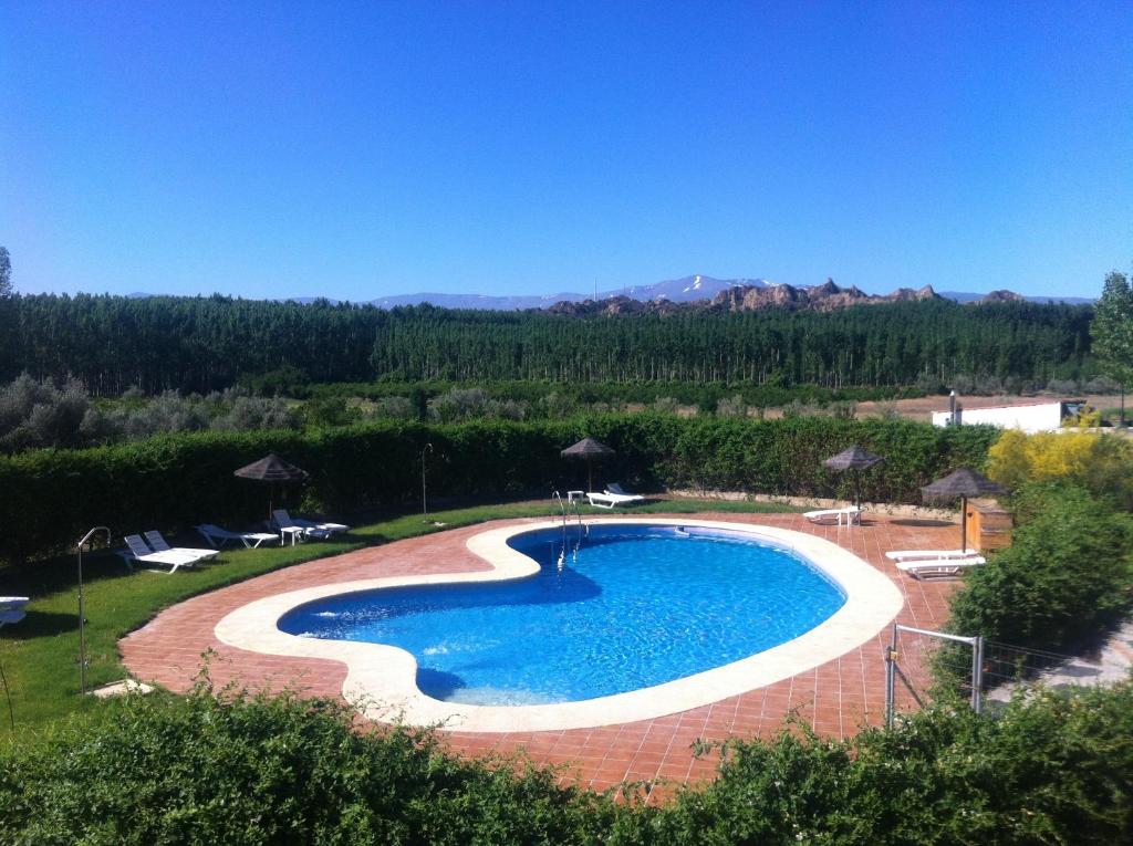 a large swimming pool in a yard with trees and mountains at Cuevas Hammam Abuelo Jose in Purullena