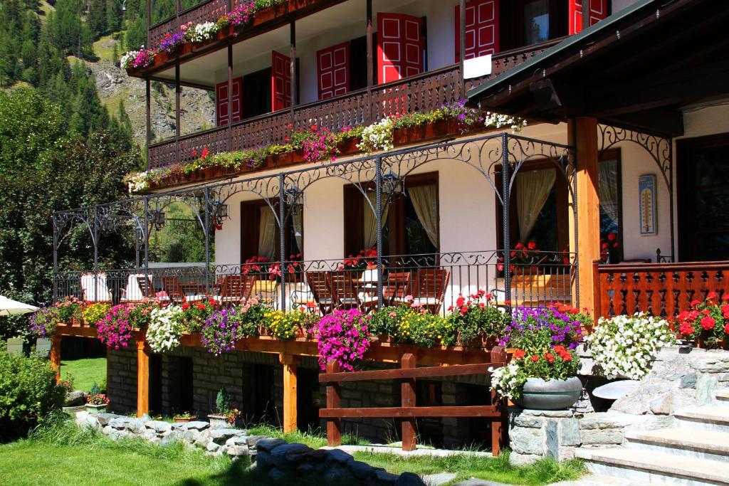 Zahrada ubytování Hotel Castor