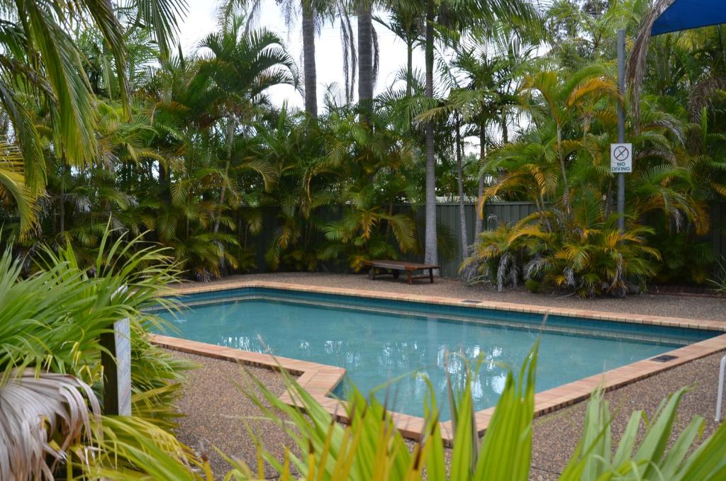 una piscina in un giardino con alberi e panca di Leisure Tourist Park a Port Macquarie