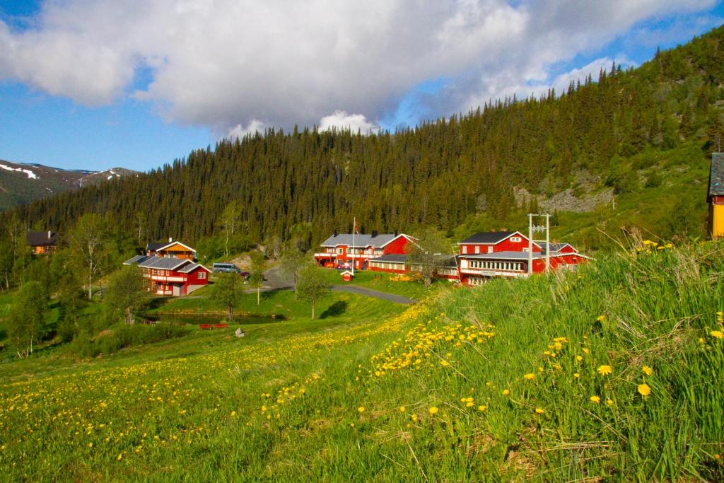 un pueblo con casas rojas y un campo verde en Grønolen Fjellgard en Beitostøl