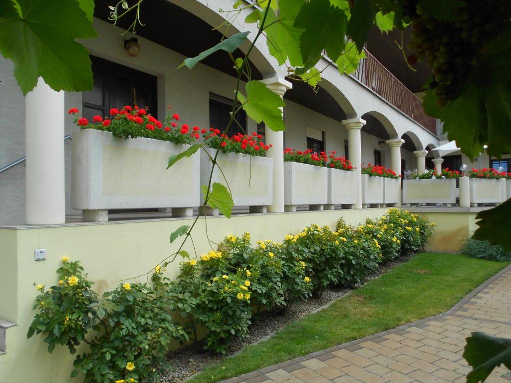 Zahrada ubytování Weingut Gastehaus Palkowitsch