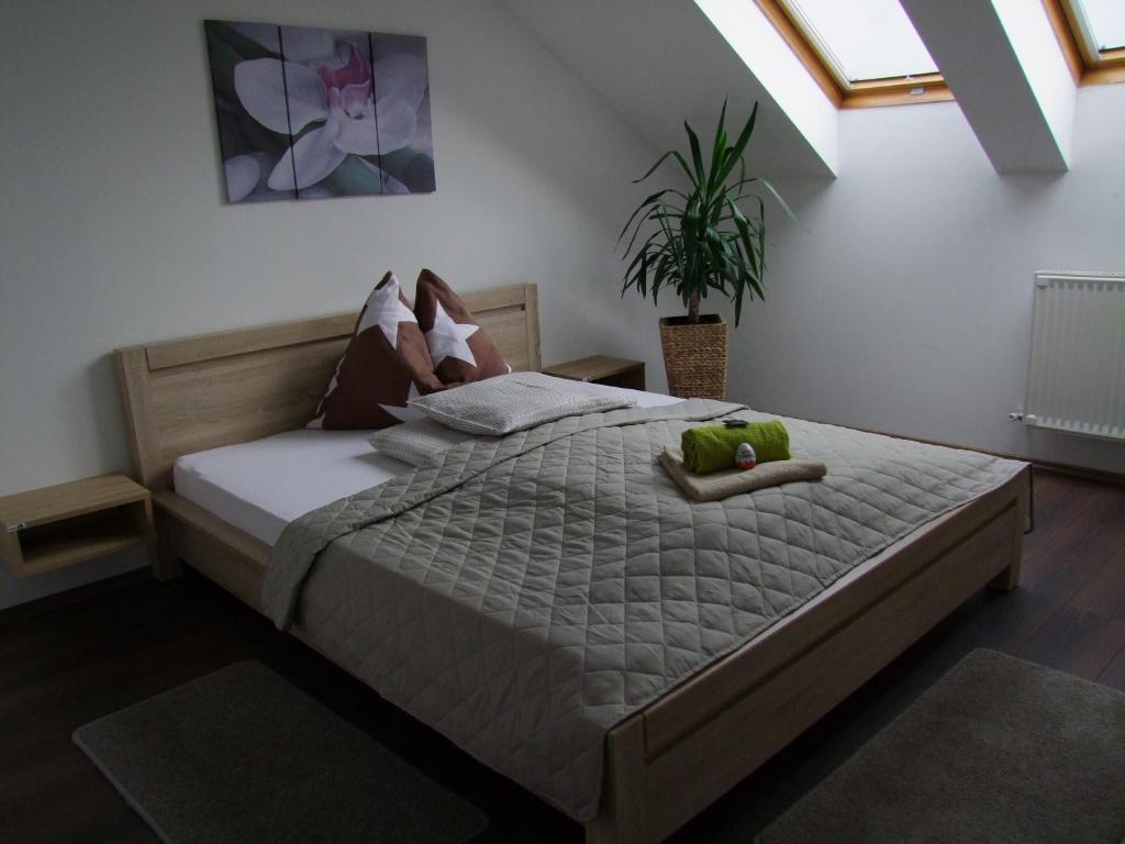 Korzó Apartman 9730 Kőszeg, Rákóczi utca 10 kép - 1