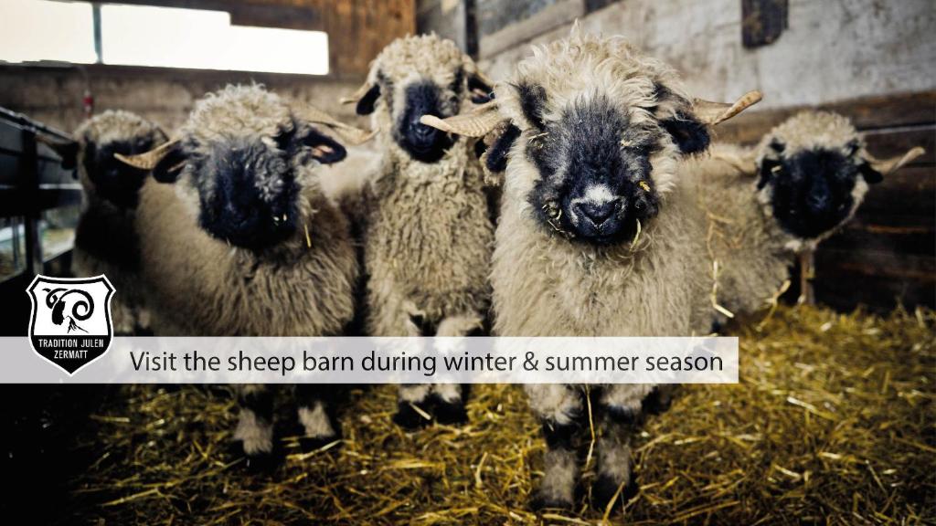 Hotel Daniela - Resim 44