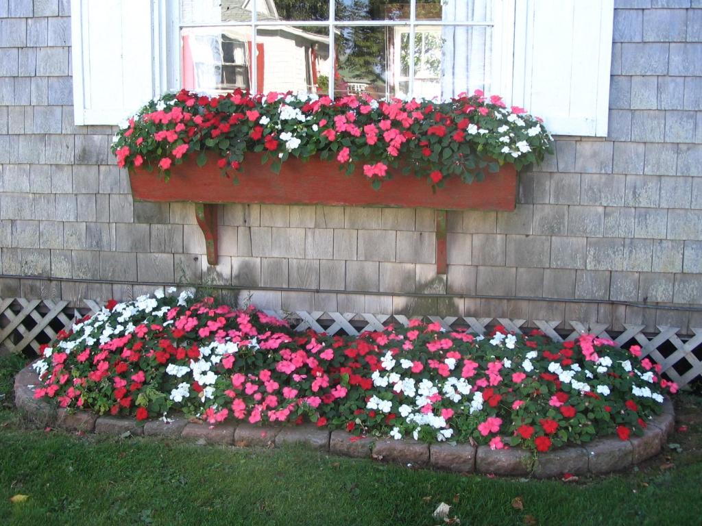 Zahrada ubytování Shaw's Hotel & Cottages