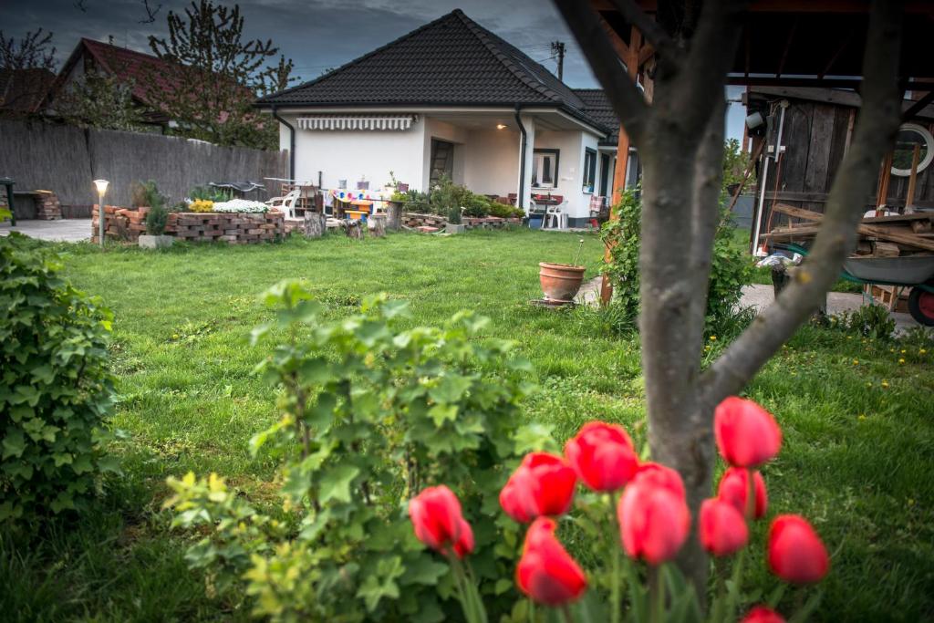 a group of red flowers in a yard at Big Garden House in Dunajská Streda