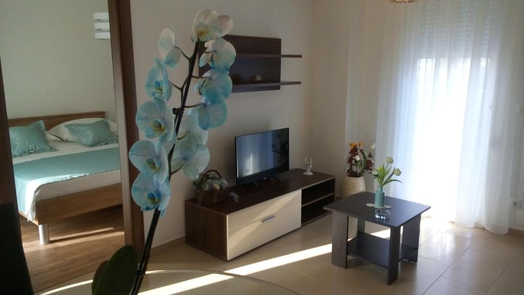 TV a/nebo společenská místnost v ubytování Villa Duje Old town