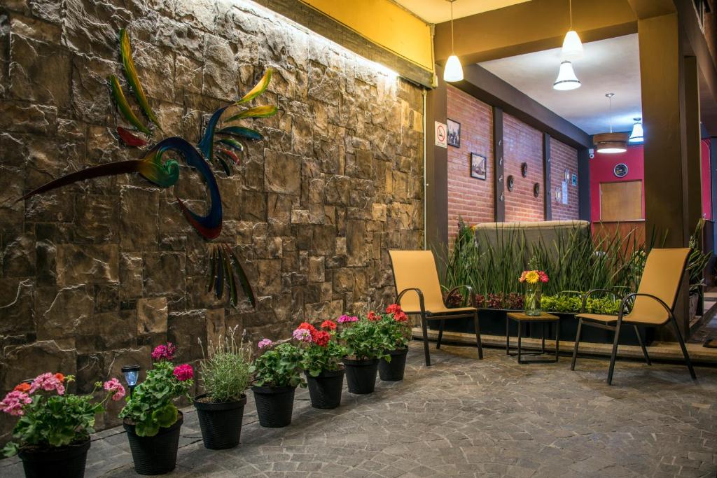 Zahrada ubytování Hotel Casa Aurora