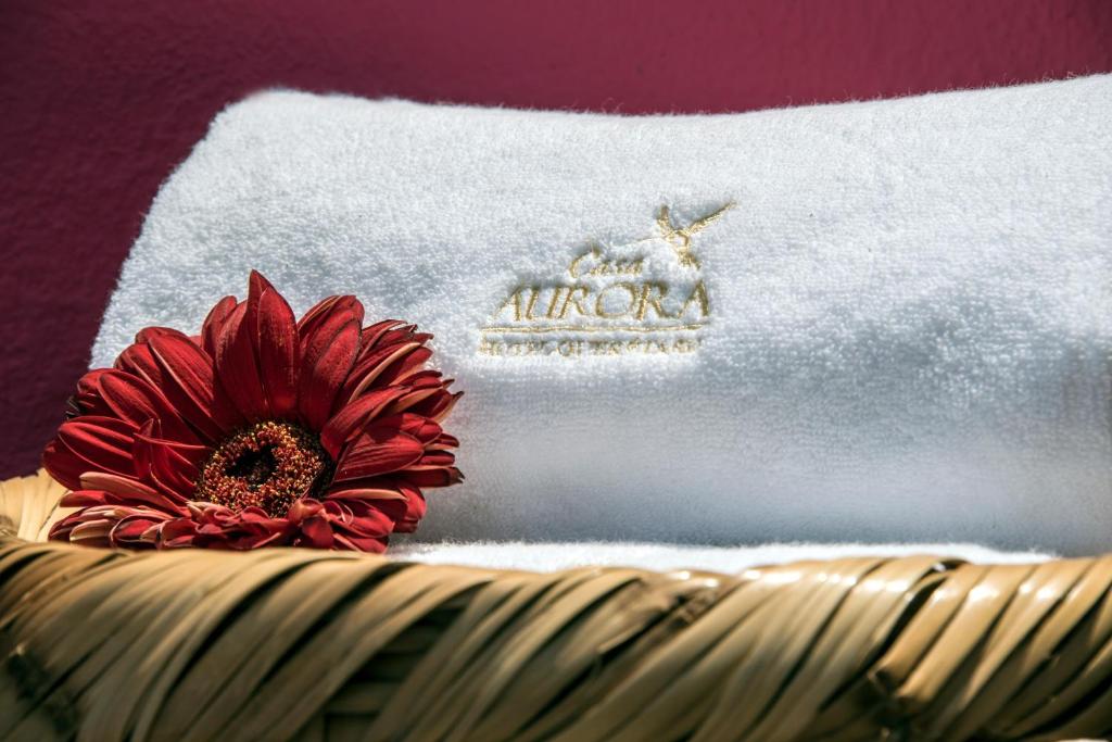 Fotografie z fotogalerie ubytování Hotel Casa Aurora v destinaci Querétaro