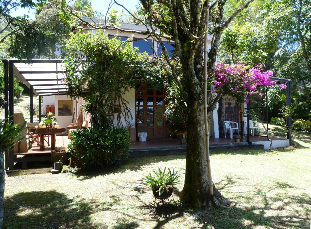 a house with a tree in front of it at Casa Jade in Rionegro