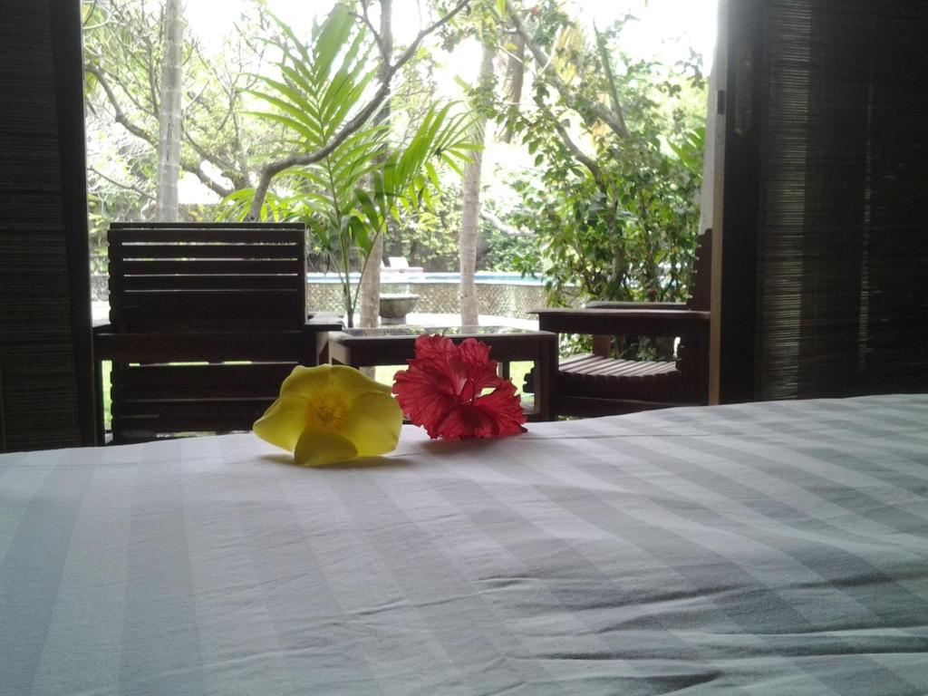 Hotel SeaSide lovina - Villa De Una Habitación