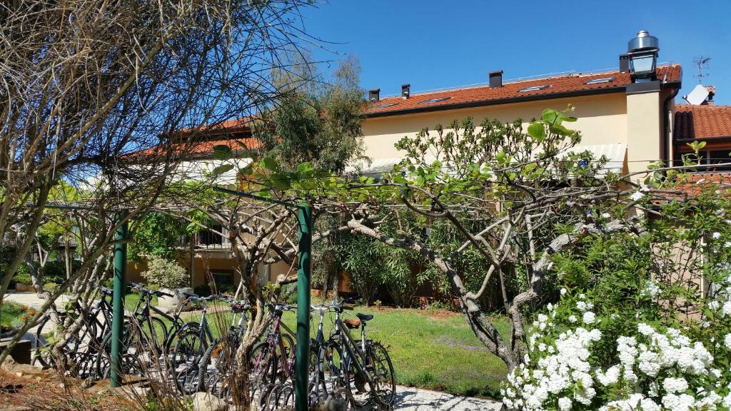 Zahrada ubytování Hotel Zlatna Vala