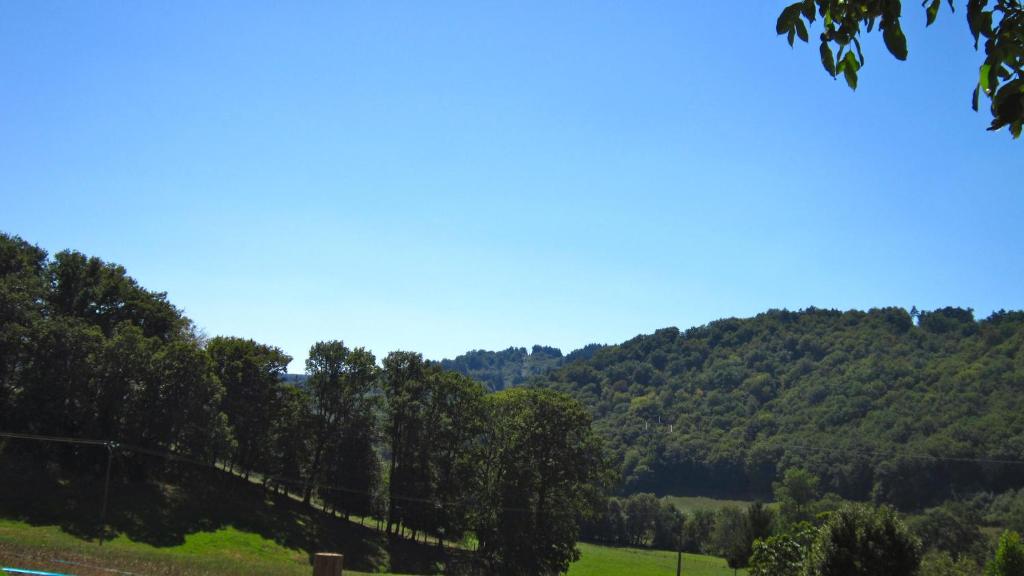 Les 5 Petits Lapins - 14