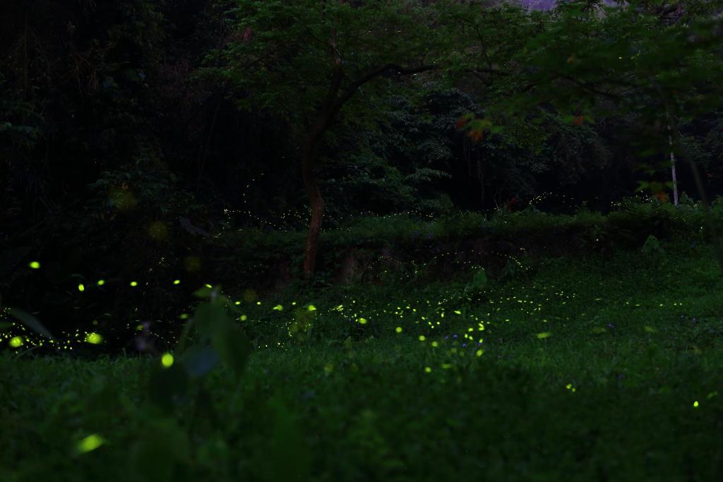 Fotografie z fotogalerie ubytování Xiangyang Tianyuan v destinaci Sanyi