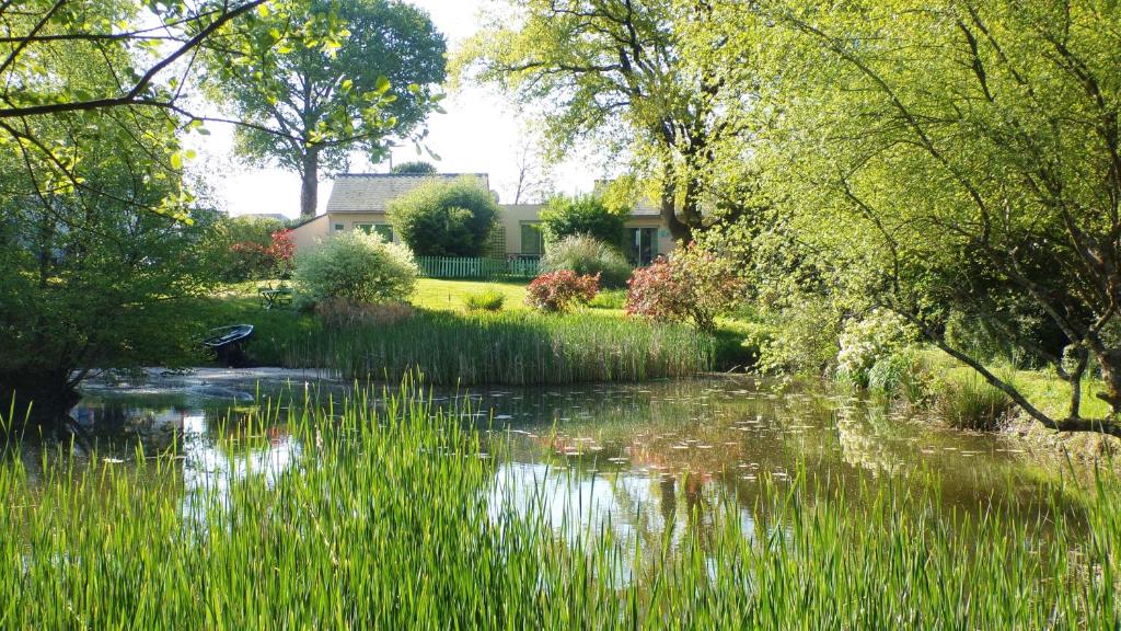 a pond in a garden with a house in the background at Au Jardin d'Eau in Missillac