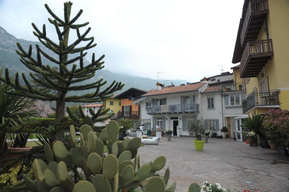 a courtyard with a lot of cactuses and buildings at B&Bio Garda Ulivi in Nago-Torbole