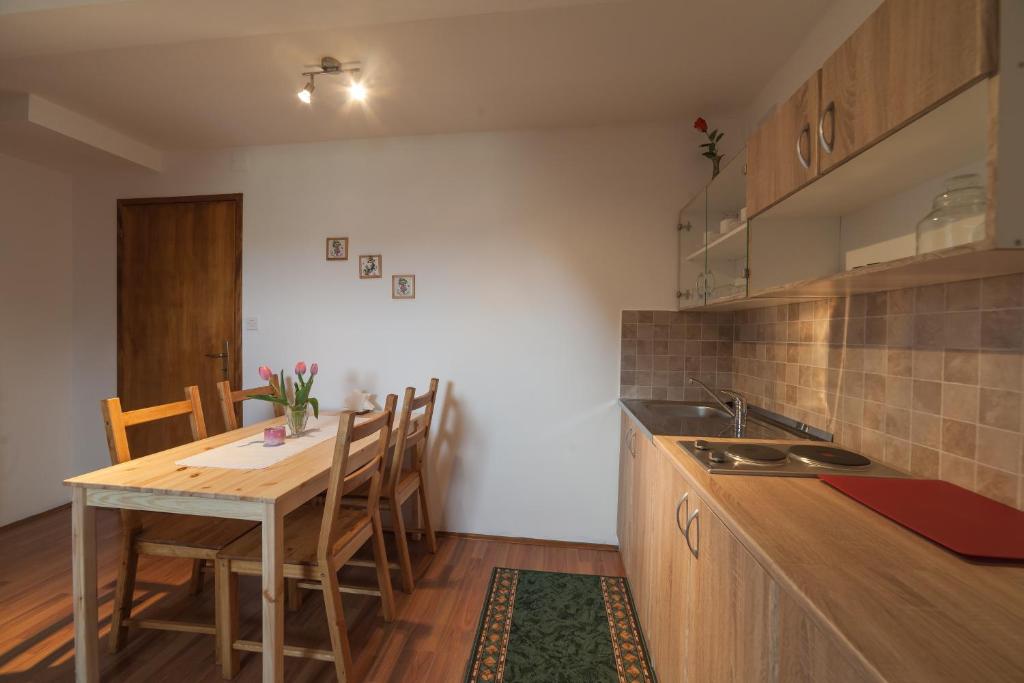 Kuchyň nebo kuchyňský kout v ubytování Breza Guesthouse
