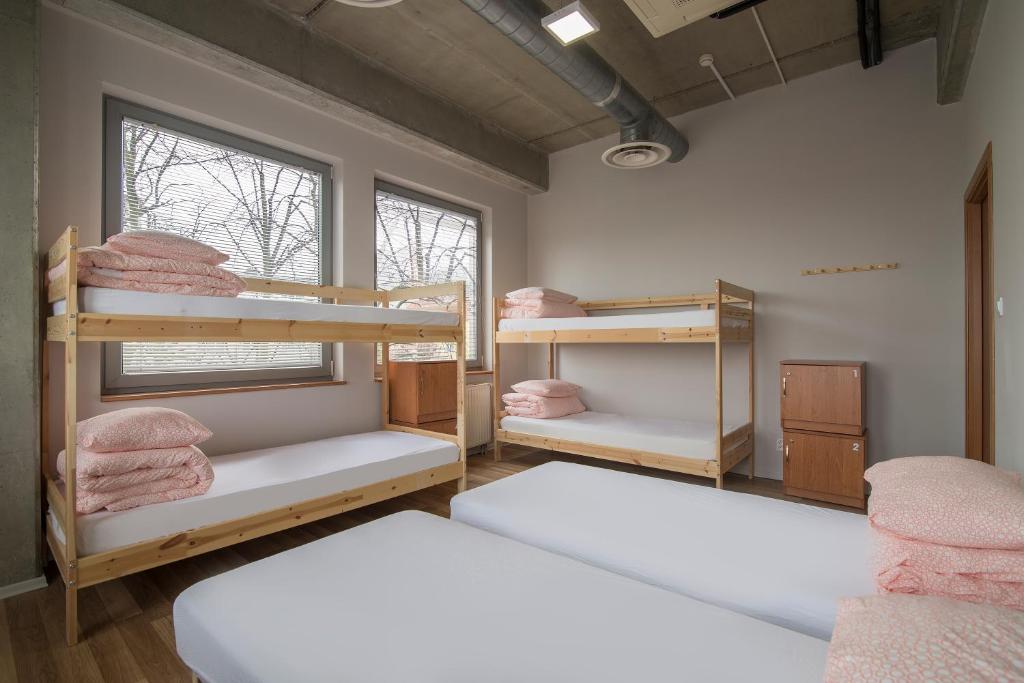Sea Hostel - Chambre Familiale