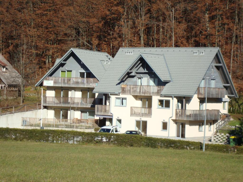 une grande maison blanche avec un toit noir dans l'établissement Apartment MANCA-HOLIN, à Bohinj