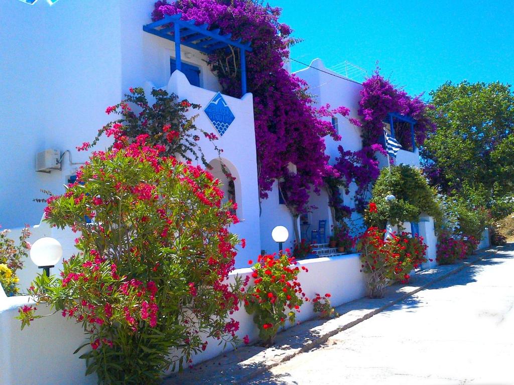 a bunch of flowers on the side of a building at Pelagos Studios in Parikia