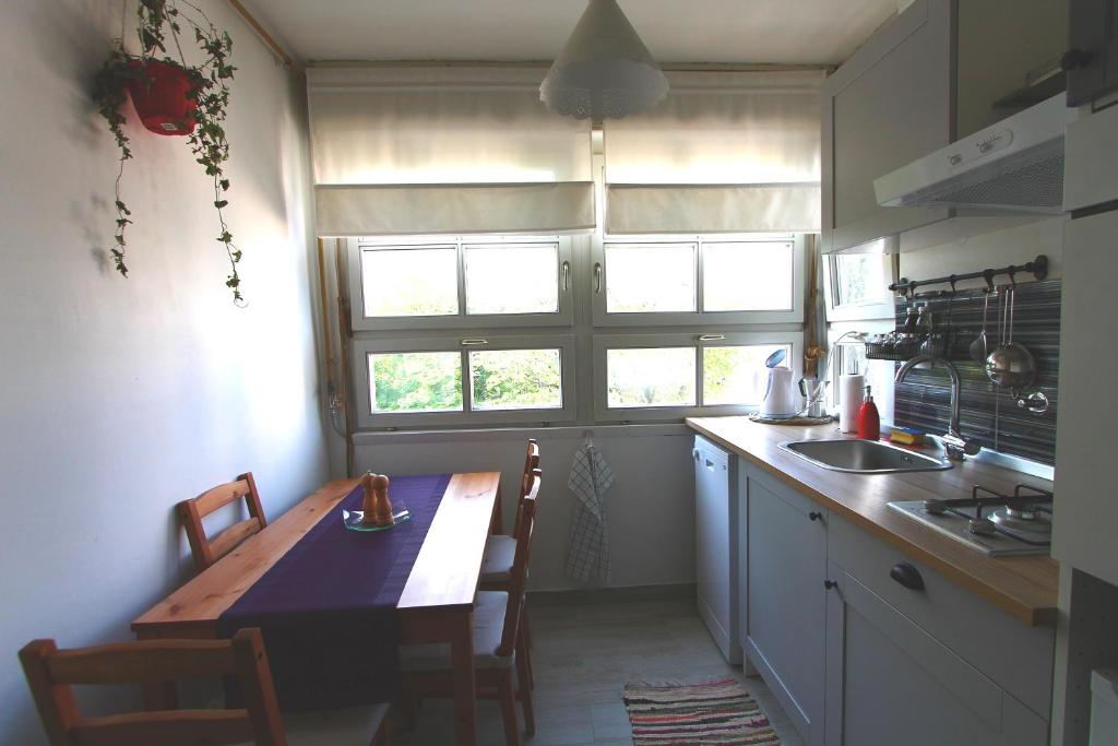 Kuchyňa alebo kuchynka v ubytovaní Apartment Melon